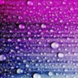 Meet your Posher, Angelina